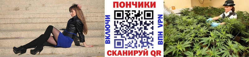 Купить наркотик Микунь гидра зеркало  МЕФ  ГАШИШ  АМФ  Бошки Шишки  Alpha PVP 